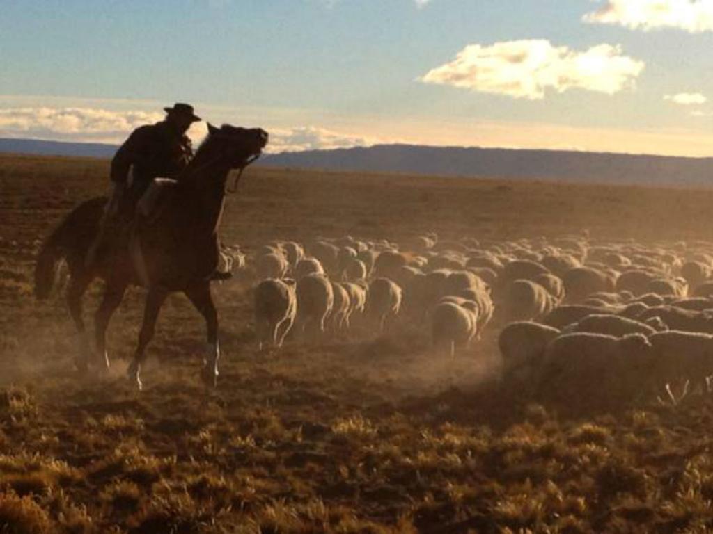 Casa Riera Estancia Santa Thelma Bed & Breakfast エクステリア 写真