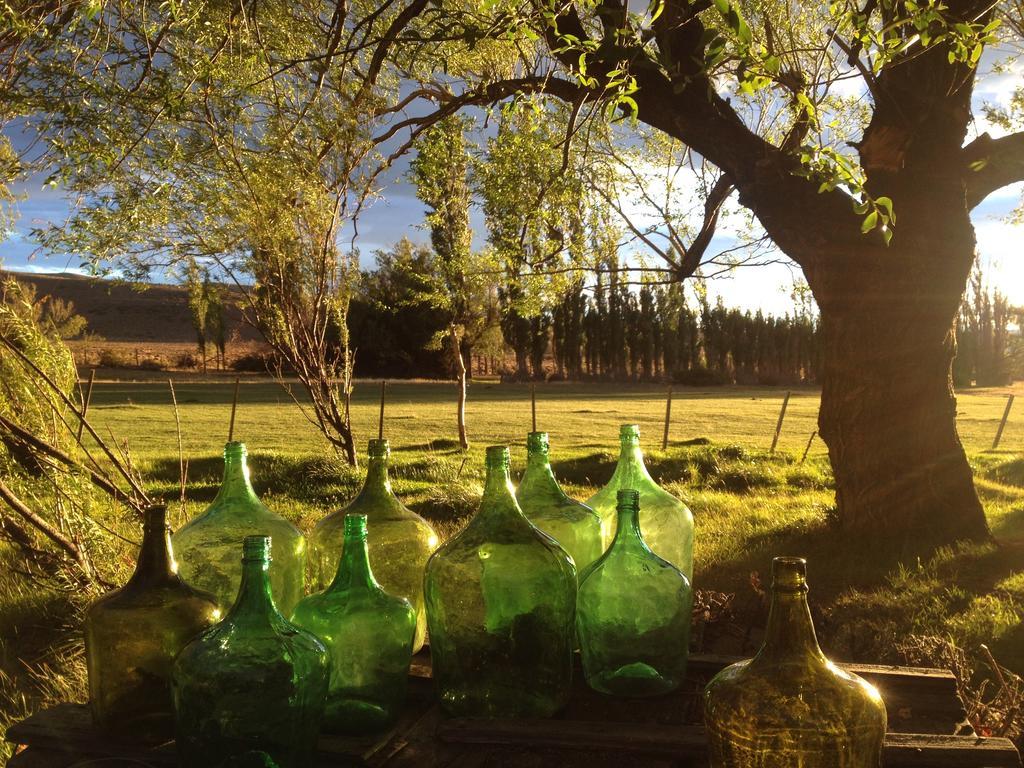 Casa Riera Estancia Santa Thelma Bed & Breakfast エクステリア 写真